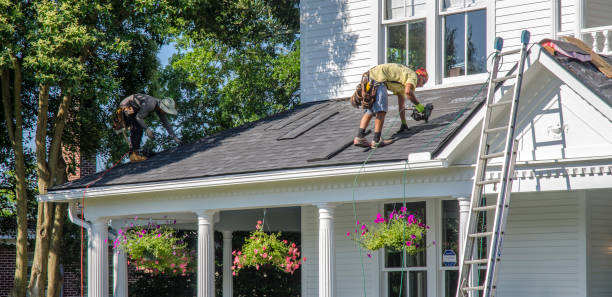 Best Roof Maintenance Services  in Orinda, CA